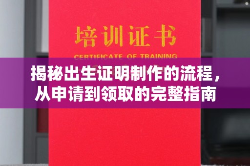 永泰揭秘出生证明制作的流程，从申请到领取的完整指南